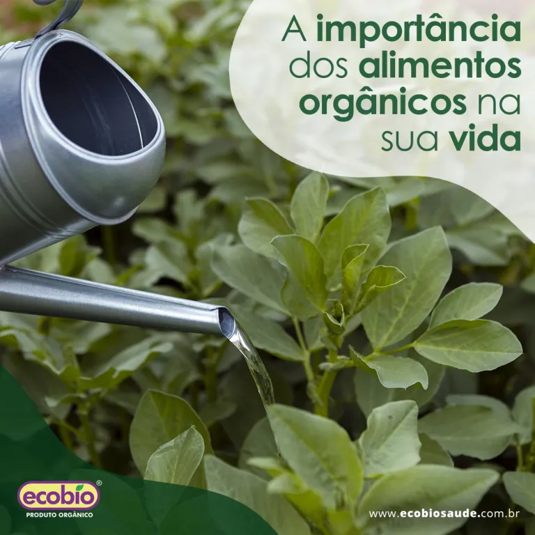 A importância dos alimentos orgânicos na sua vida